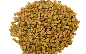 Fenugreek